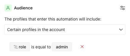 The audience is set to certain profiles related to the object whose role is admin.